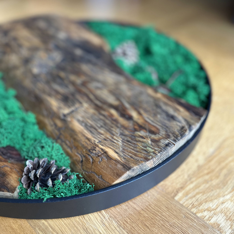 Obraz z mchu stabilizowanego 50 cm – dębowa dekoracja na ścianę