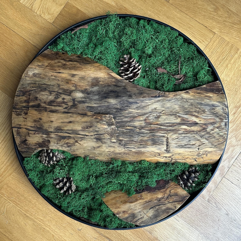 Obraz z mchu stabilizowanego 50 cm – dębowa dekoracja na ścianę